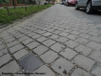 Imagine atasata: Putna - 2015.04.09 - 02.jpg